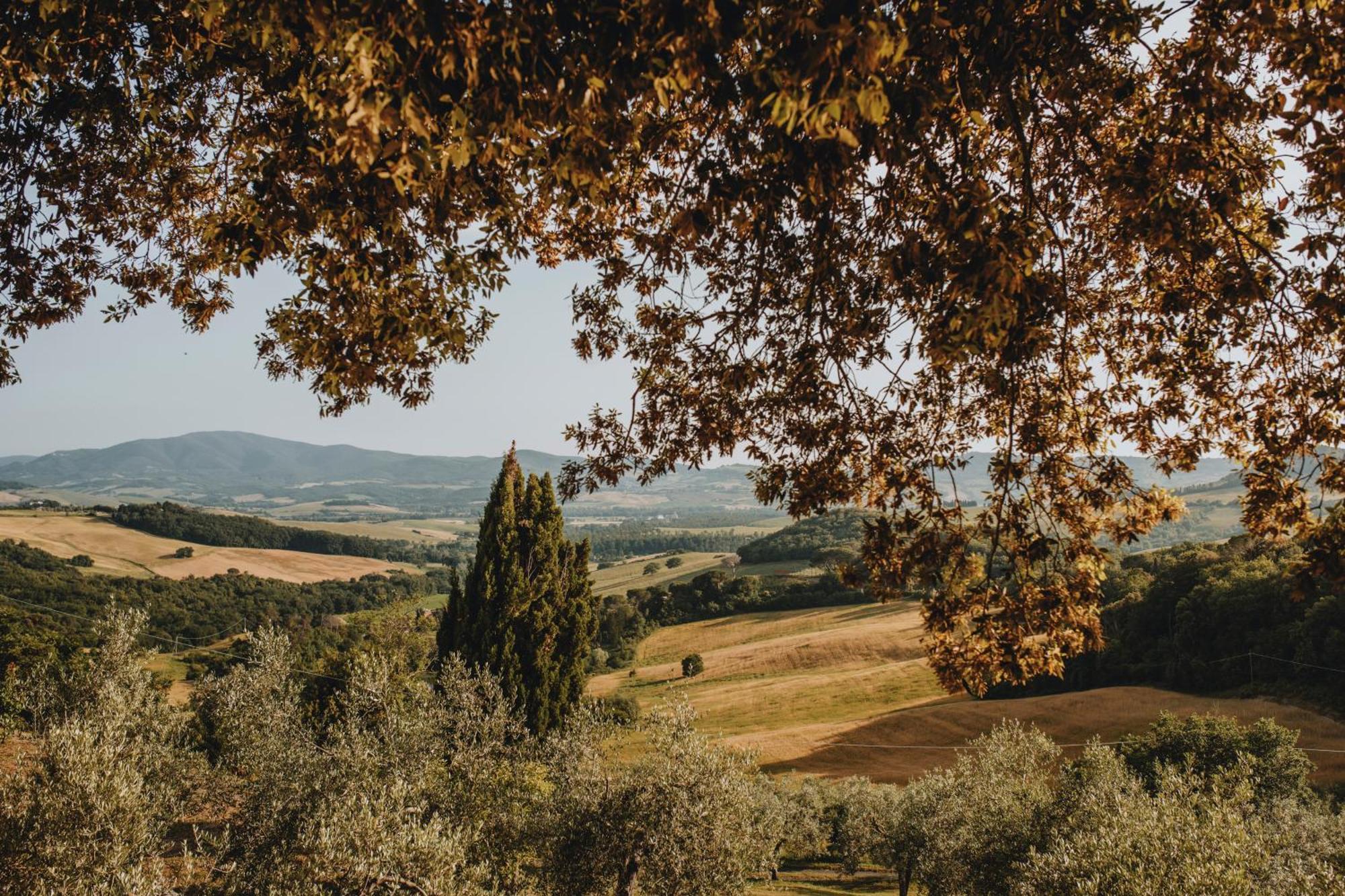 Tenuta Mocajo Guardistallo Dış mekan fotoğraf